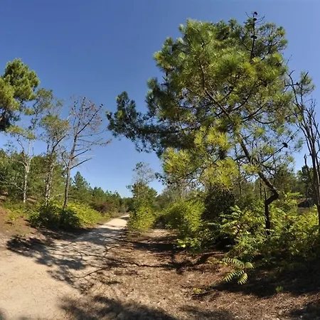 Face à Avec Parking Privé - Fr-1-323-428 * Saint-Jean-de-Monts