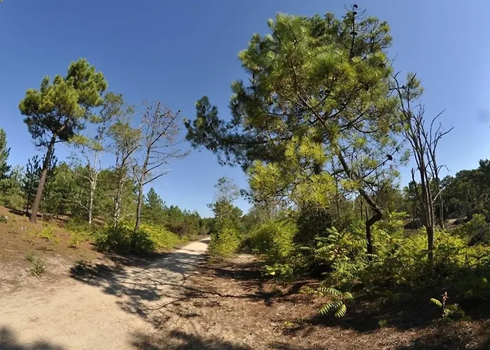 Face A Avec Parking Prive - Fr-1-323-428 * סן ז'אן דה מון